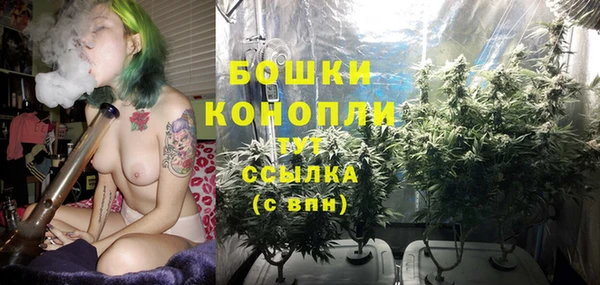 соль ск Бердск