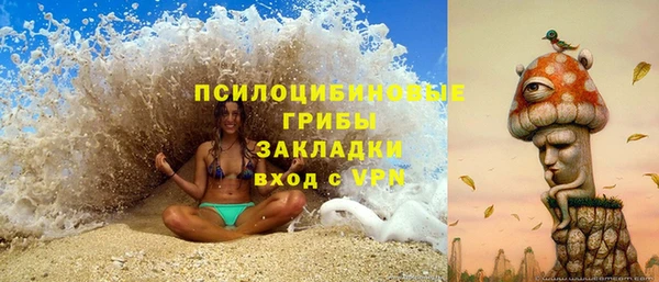 гашик Верея
