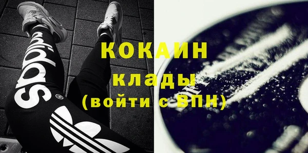 гашик Верея