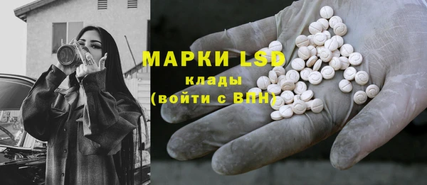гашик Верея